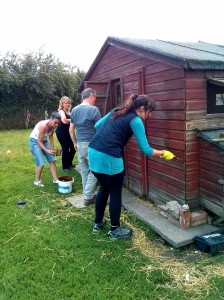 Teamwork: painting the hen house